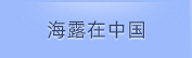 9001cc��ɳ���й�