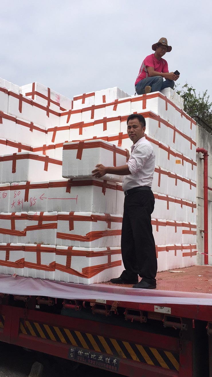 ��ҳ| 9001cc��ɳ�����Գ�Ϊ������