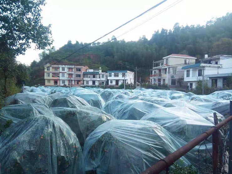 ��ҳ| 9001cc��ɳ�����Գ�Ϊ������