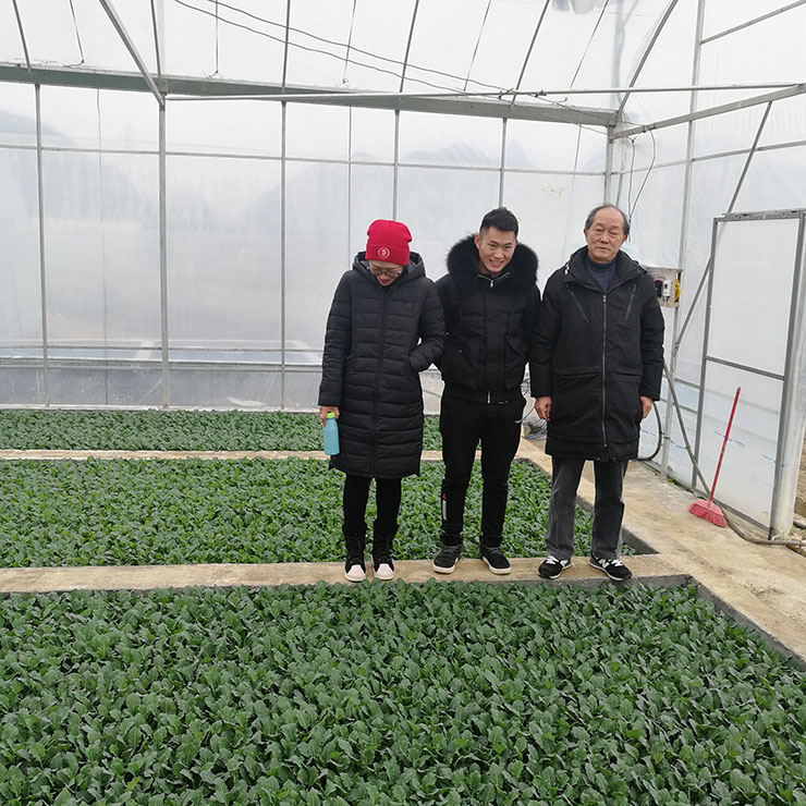 ��ҳ| 9001cc��ɳ�����Գ�Ϊ������