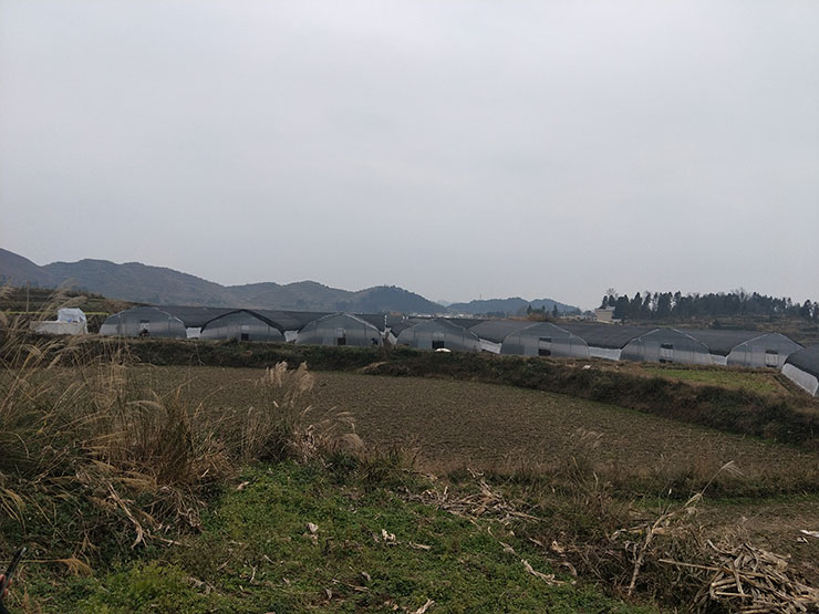 ��ҳ| 9001cc��ɳ�����Գ�Ϊ������