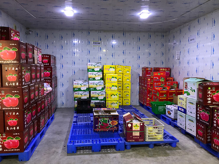 ��ҳ| 9001cc��ɳ�����Գ�Ϊ������