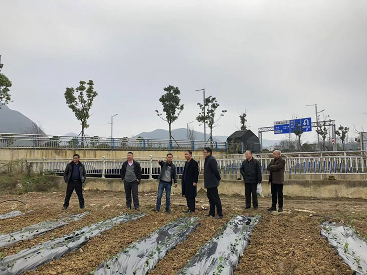 ��ҳ| 9001cc��ɳ�����Գ�Ϊ������