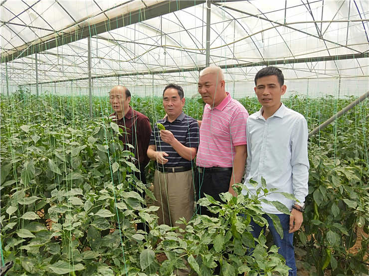 ��ҳ| 9001cc��ɳ�����Գ�Ϊ������