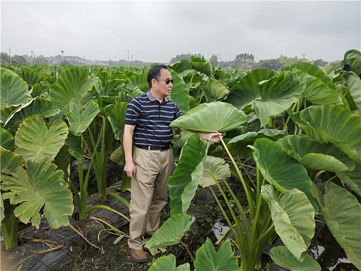 ��ҳ| 9001cc��ɳ�����Գ�Ϊ������