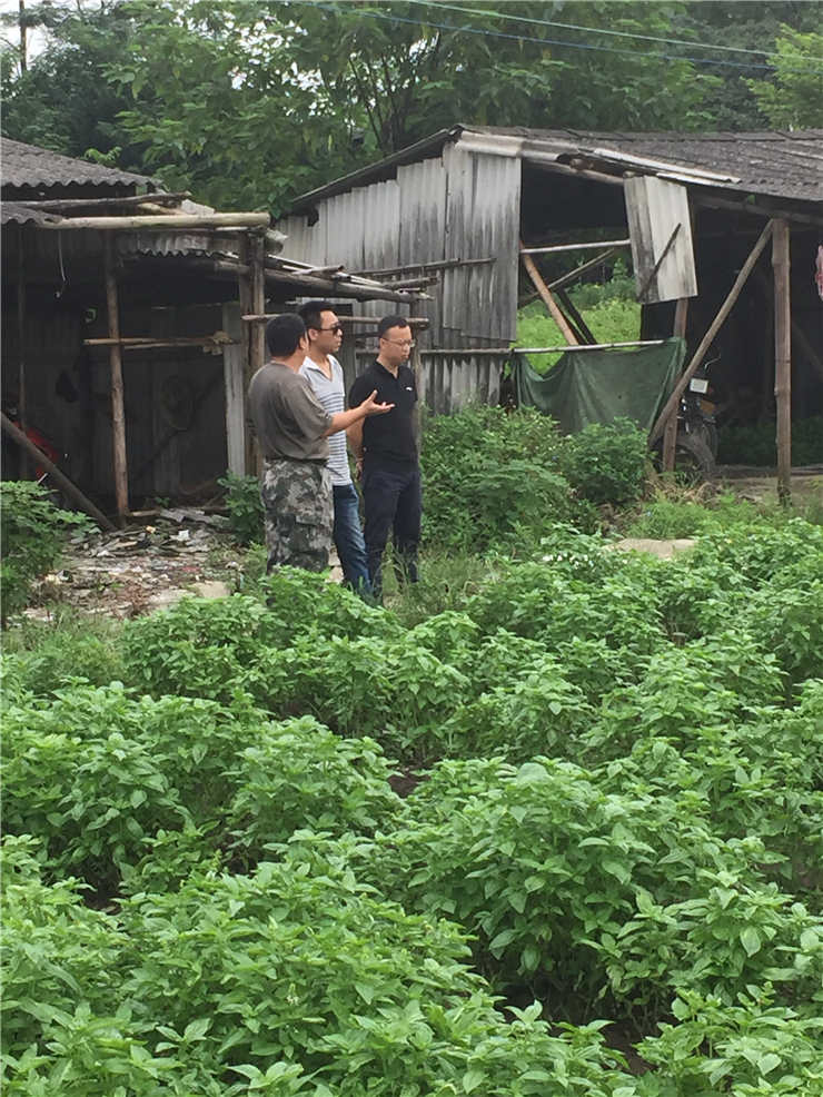 ��ҳ| 9001cc��ɳ�����Գ�Ϊ������