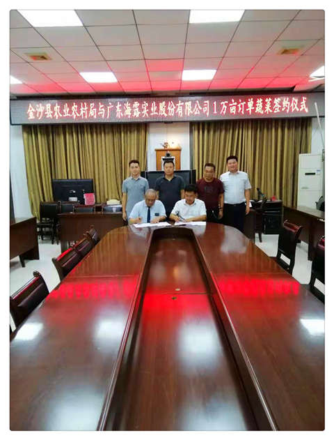 ��ҳ| 9001cc��ɳ�����Գ�Ϊ������