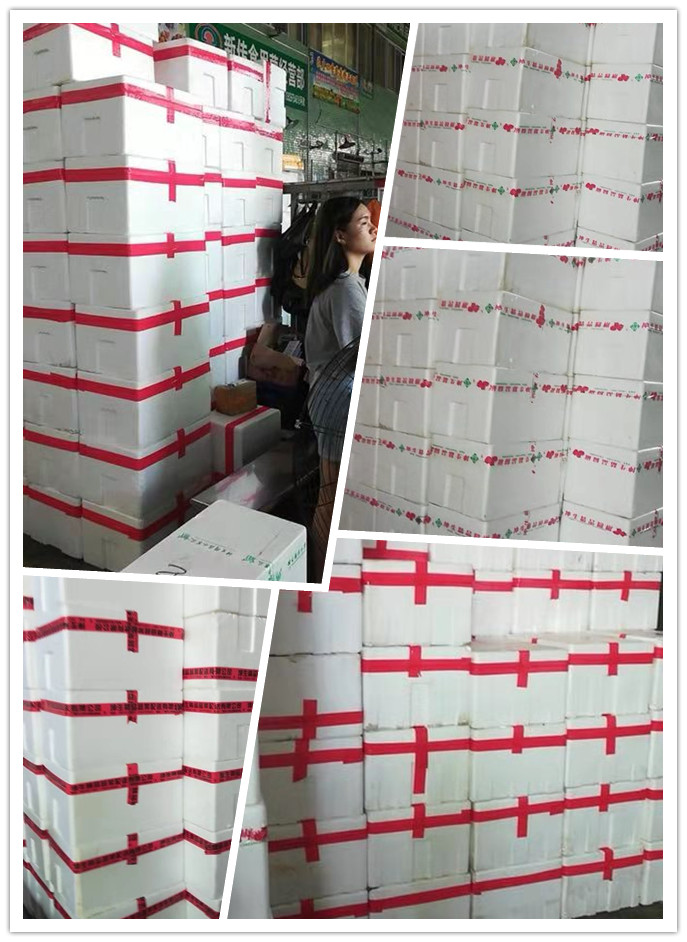 ��ҳ| 9001cc��ɳ�����Գ�Ϊ������
