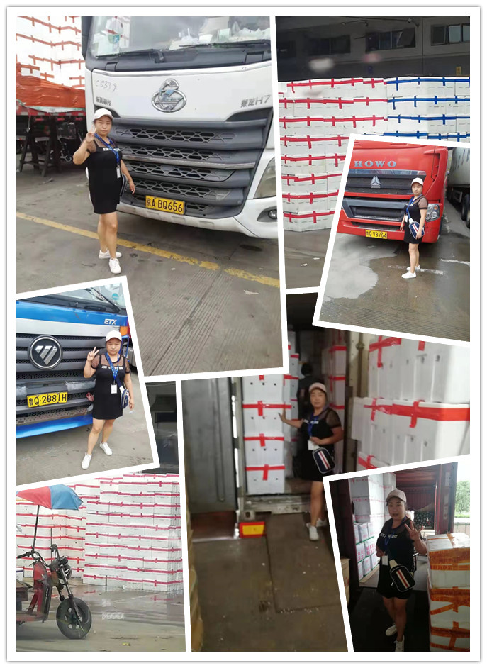 ��ҳ| 9001cc��ɳ�����Գ�Ϊ������
