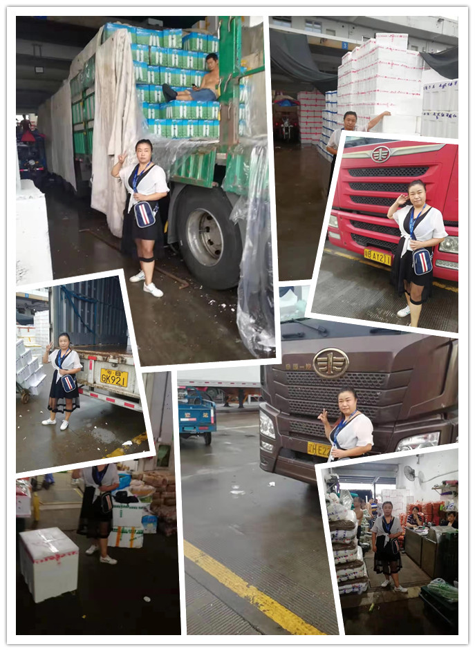 ��ҳ| 9001cc��ɳ�����Գ�Ϊ������