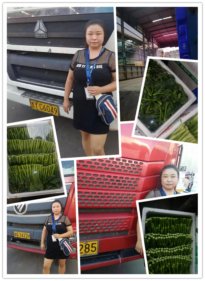 ��ҳ| 9001cc��ɳ�����Գ�Ϊ������