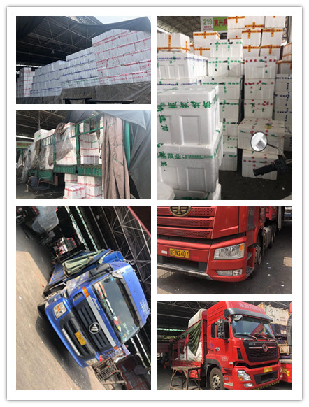 ��ҳ| 9001cc��ɳ�����Գ�Ϊ������