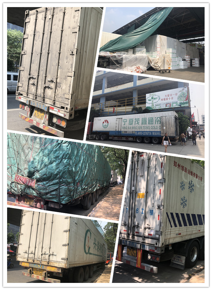 ��ҳ| 9001cc��ɳ�����Գ�Ϊ������