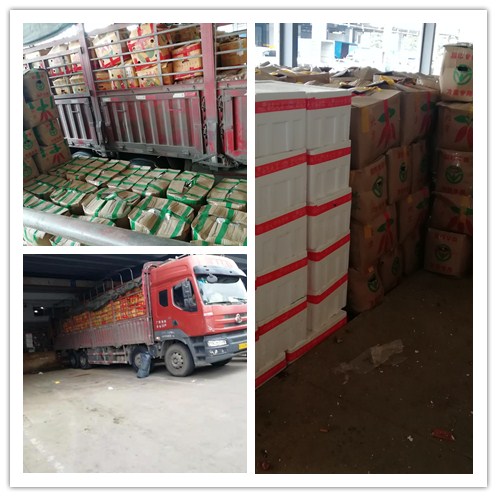 ��ҳ| 9001cc��ɳ�����Գ�Ϊ������