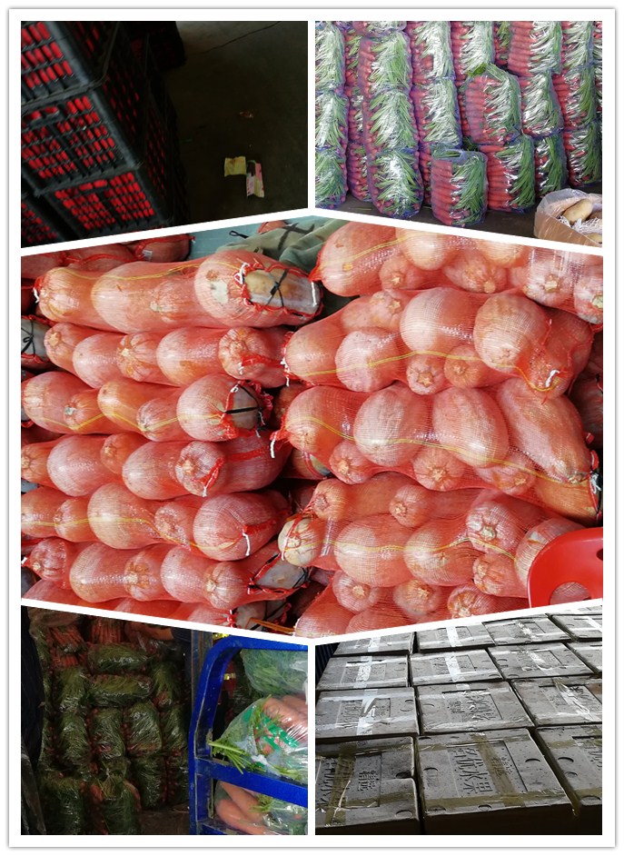 ��ҳ| 9001cc��ɳ�����Գ�Ϊ������