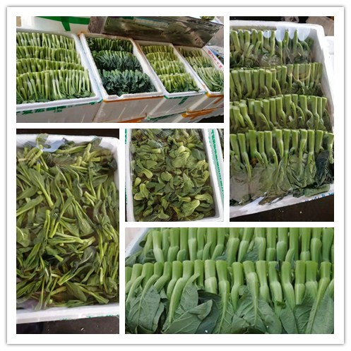 ��ҳ| 9001cc��ɳ�����Գ�Ϊ������