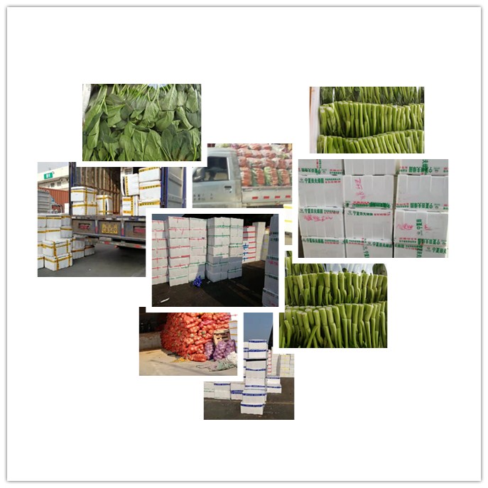��ҳ| 9001cc��ɳ�����Գ�Ϊ������
