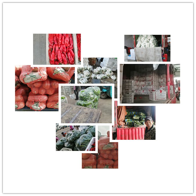 ��ҳ| 9001cc��ɳ�����Գ�Ϊ������