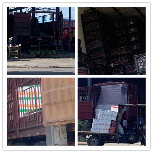 ��ҳ| 9001cc��ɳ�����Գ�Ϊ������