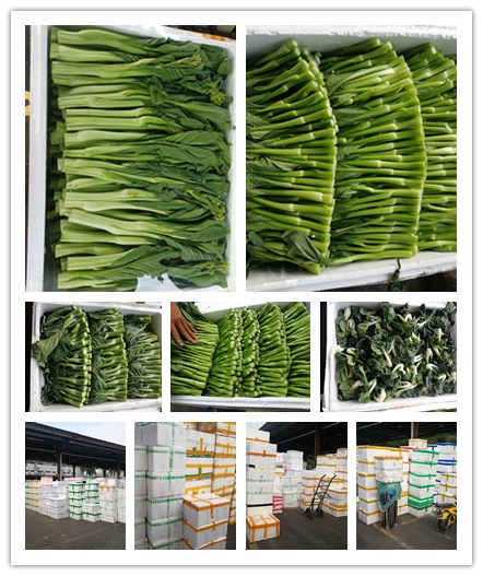 ��ҳ| 9001cc��ɳ�����Գ�Ϊ������