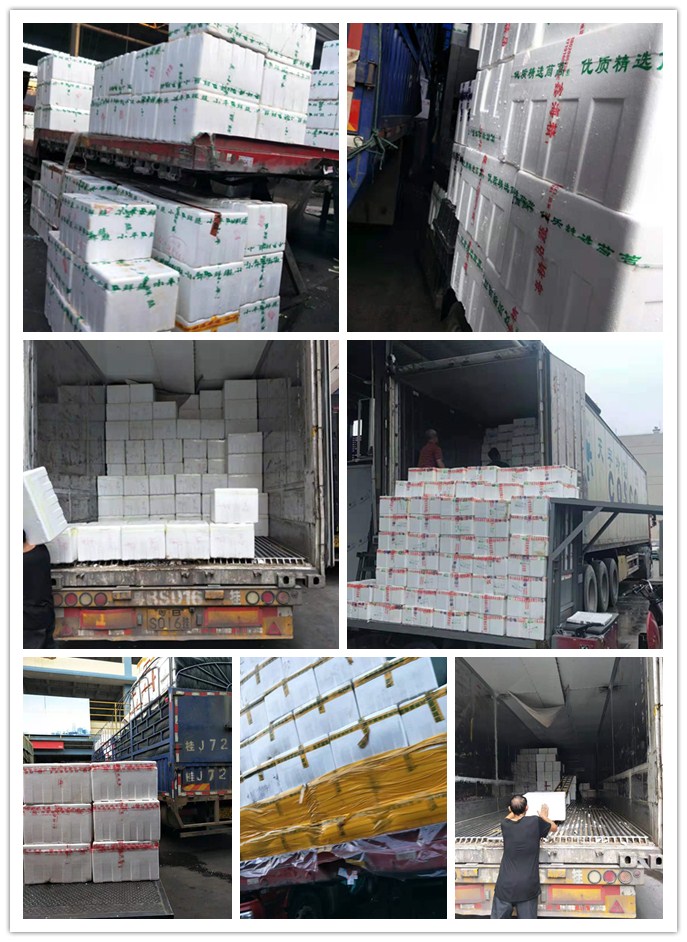 ��ҳ| 9001cc��ɳ�����Գ�Ϊ������