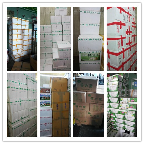 ��ҳ| 9001cc��ɳ�����Գ�Ϊ������