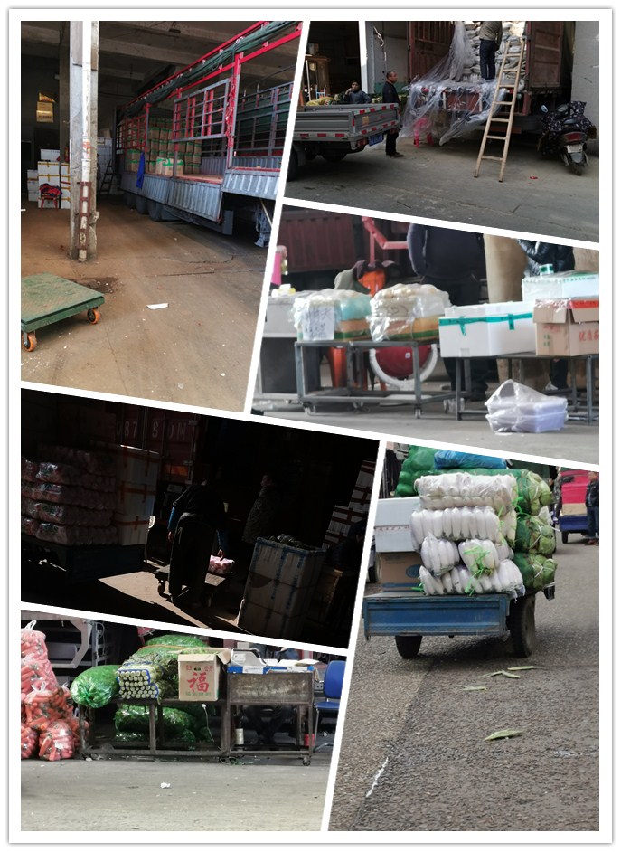 ��ҳ| 9001cc��ɳ�����Գ�Ϊ������