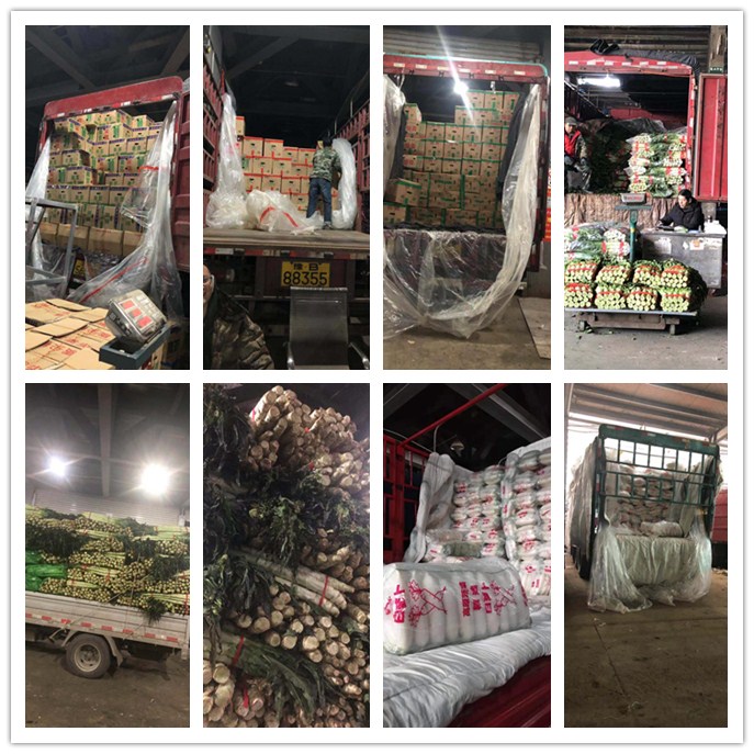 ��ҳ| 9001cc��ɳ�����Գ�Ϊ������