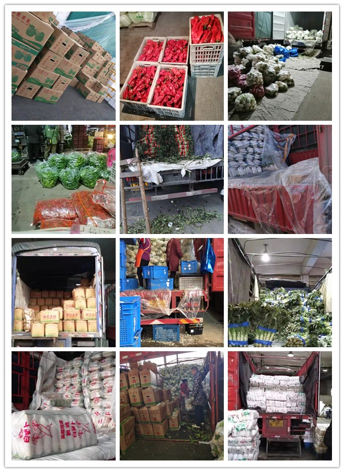 ��ҳ| 9001cc��ɳ�����Գ�Ϊ������