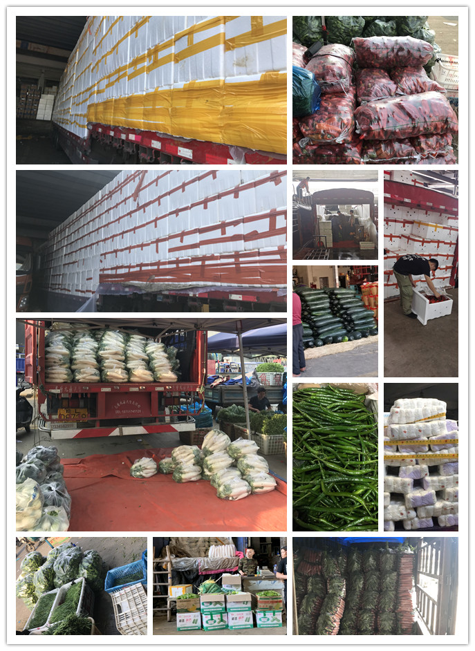 ��ҳ| 9001cc��ɳ�����Գ�Ϊ������