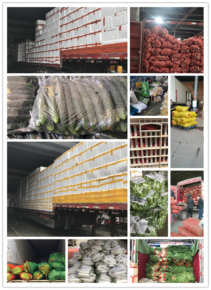 ��ҳ| 9001cc��ɳ�����Գ�Ϊ������