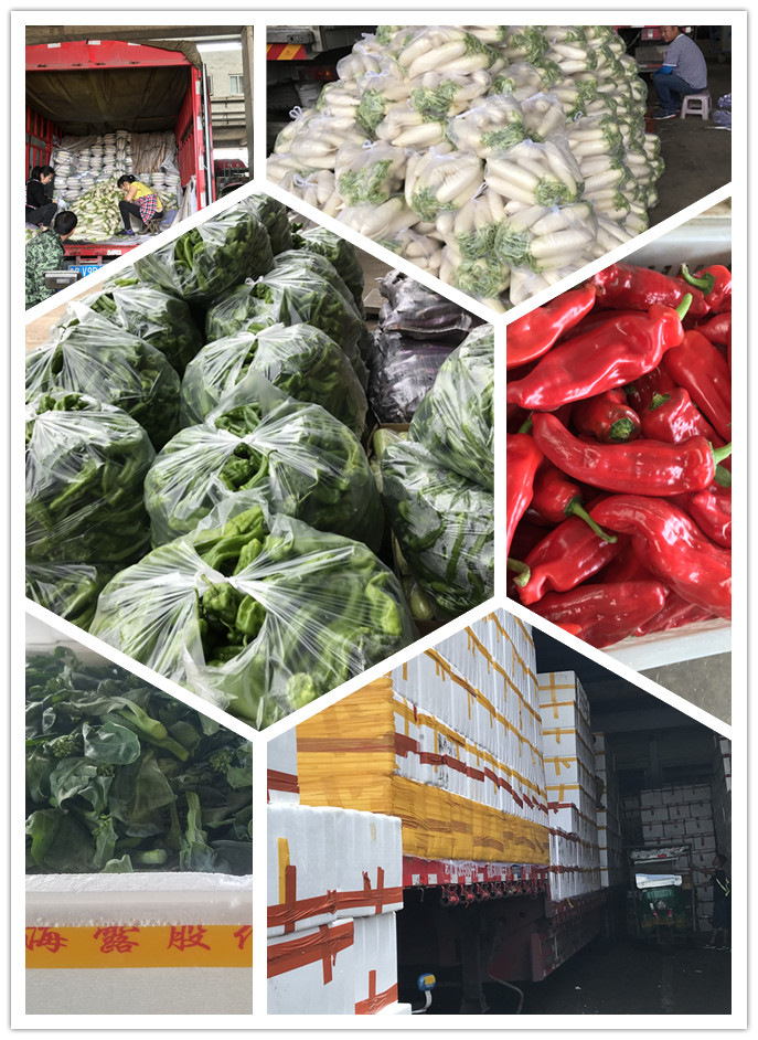 ��ҳ| 9001cc��ɳ�����Գ�Ϊ������