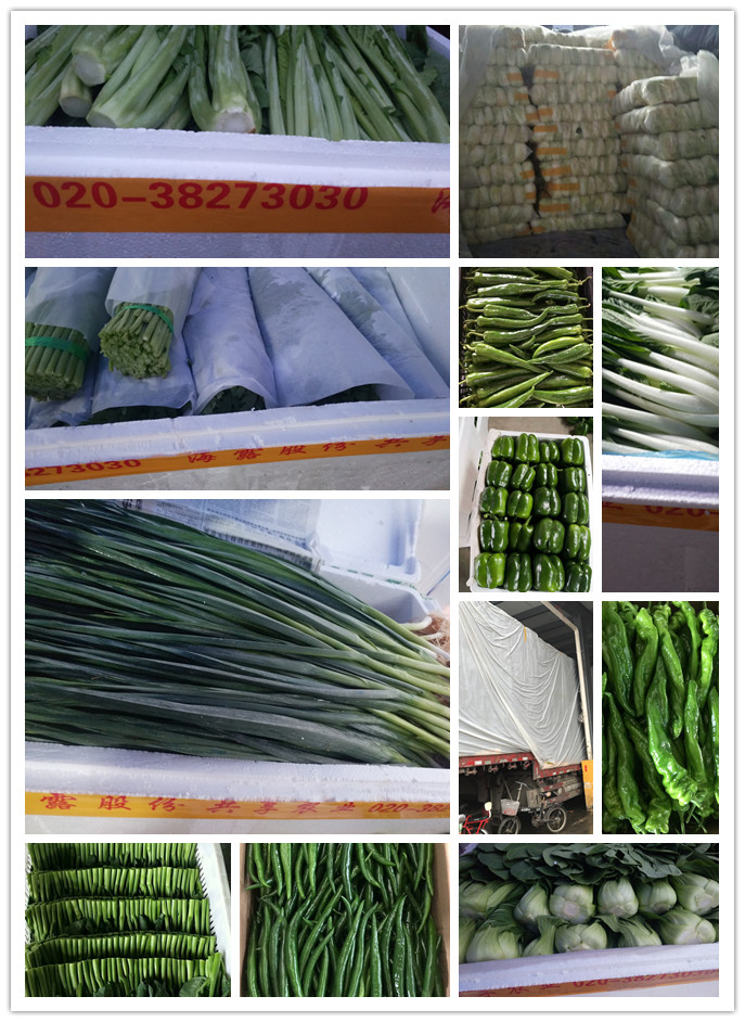 ��ҳ| 9001cc��ɳ�����Գ�Ϊ������