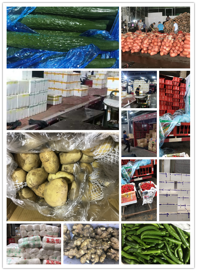 ��ҳ| 9001cc��ɳ�����Գ�Ϊ������