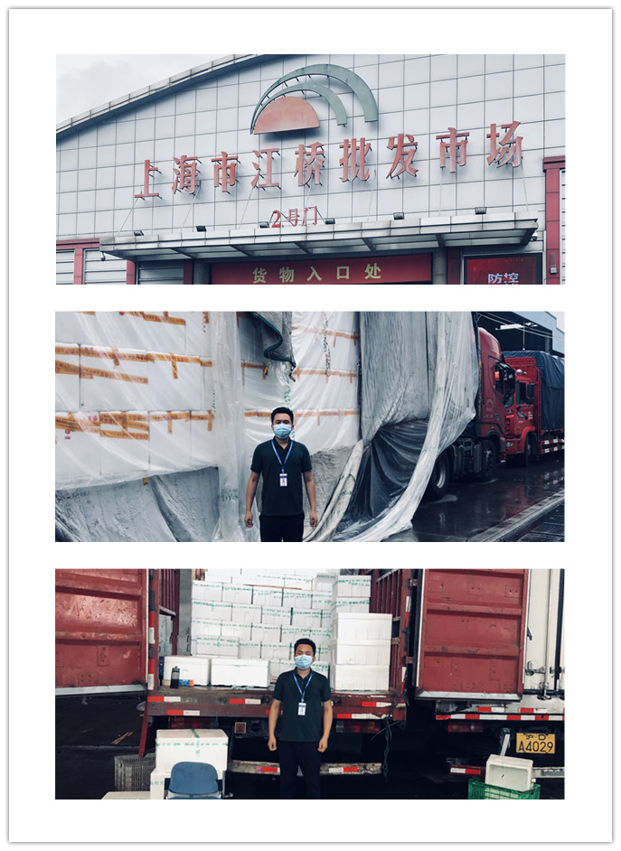 ��ҳ| 9001cc��ɳ�����Գ�Ϊ������
