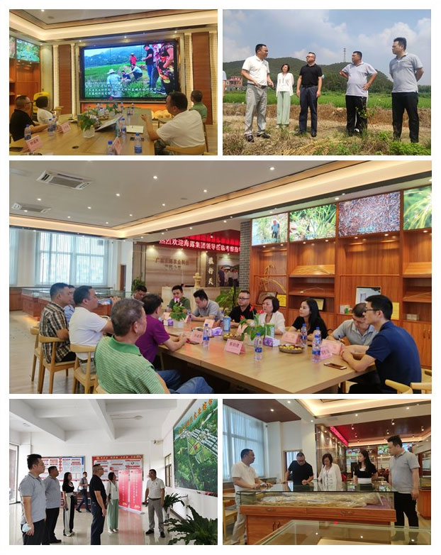 ��ҳ| 9001cc��ɳ�����Գ�Ϊ������