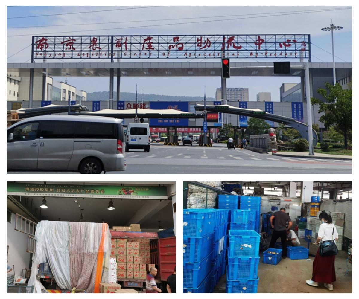 ��ҳ| 9001cc��ɳ�����Գ�Ϊ������