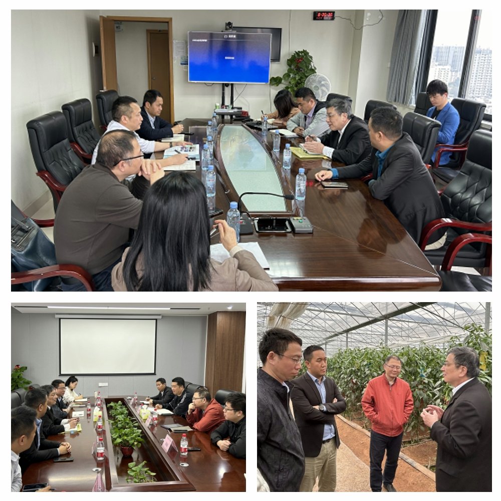 ��ҳ| 9001cc��ɳ�����Գ�Ϊ������