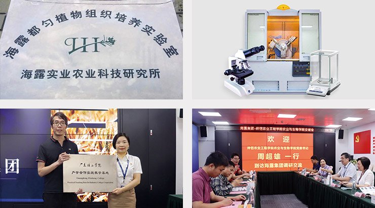 ��ҳ| 9001cc��ɳ�����Գ�Ϊ������