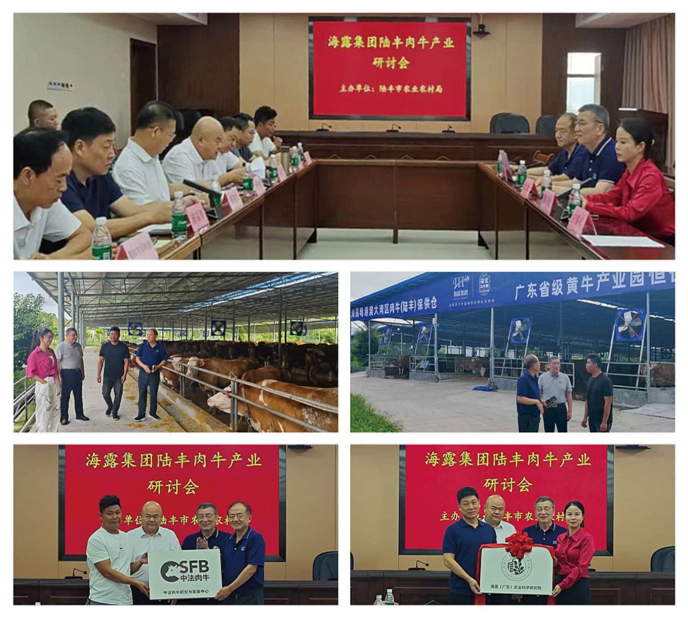 ��ҳ| 9001cc��ɳ�����Գ�Ϊ������