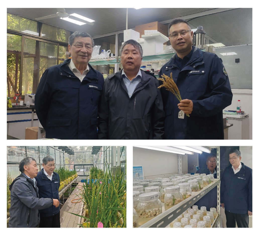 ��ҳ| 9001cc��ɳ�����Գ�Ϊ������